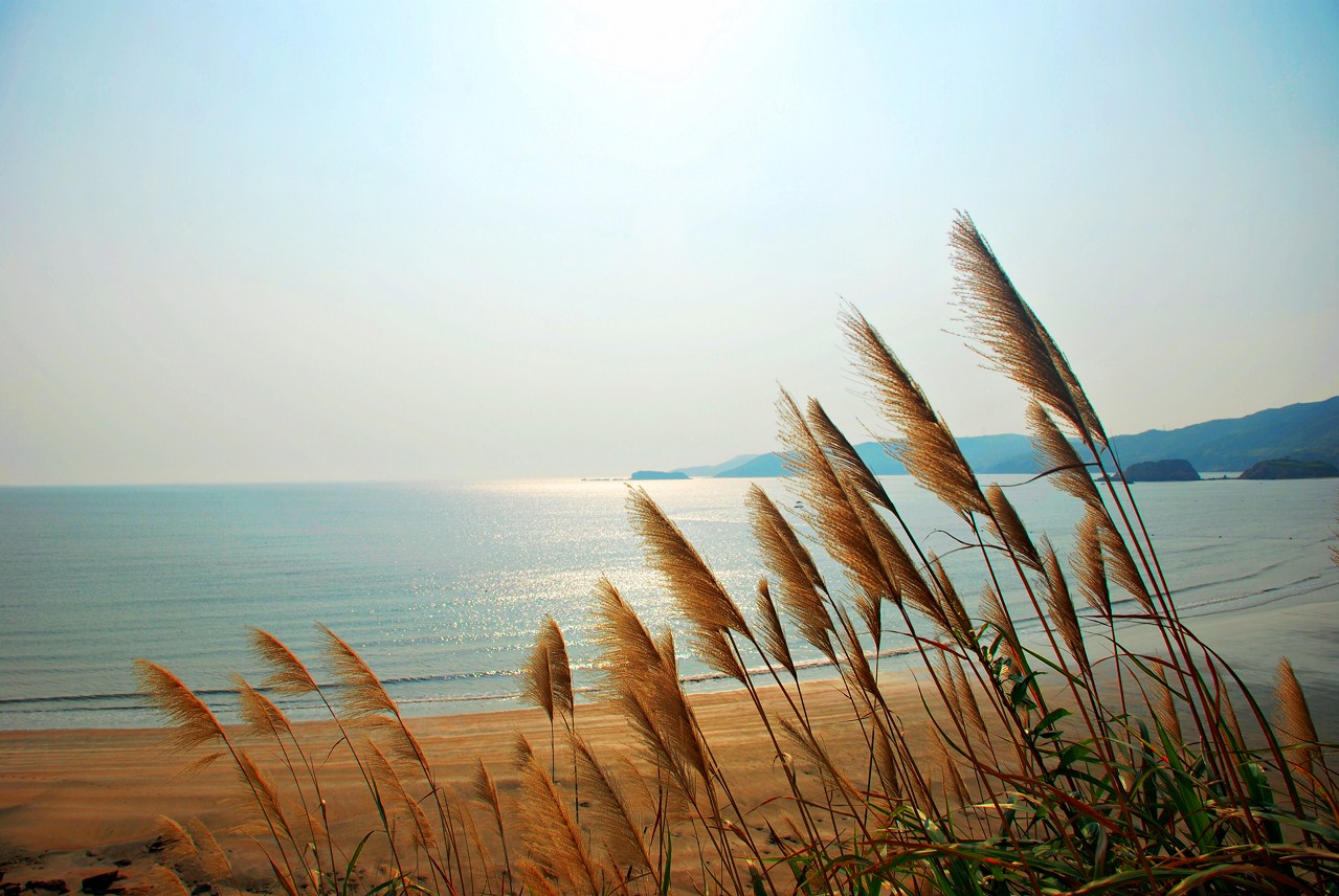 舟山低调看直播官网高清_极速体育nba直播站外_jrs直播吧手机版路线推荐_攻略
