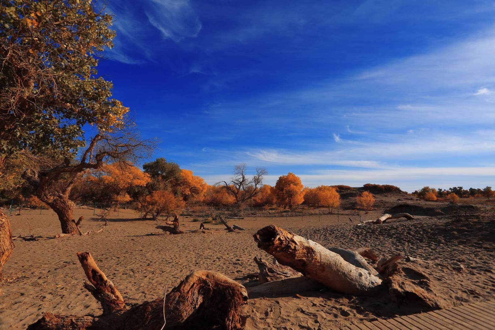 额济纳低调看直播官网高清_极速体育nba直播站外_jrs直播吧手机版路线推荐_攻略