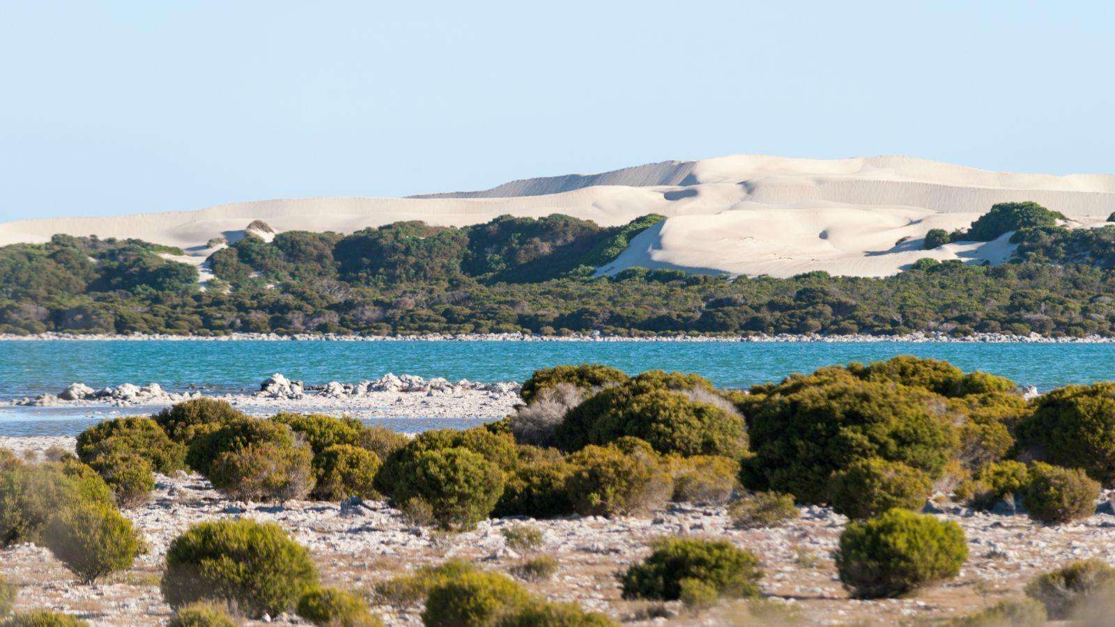南澳大利亚州低调看直播官网高清_极速体育nba直播站外_jrs直播吧手机版路线推荐_攻略
