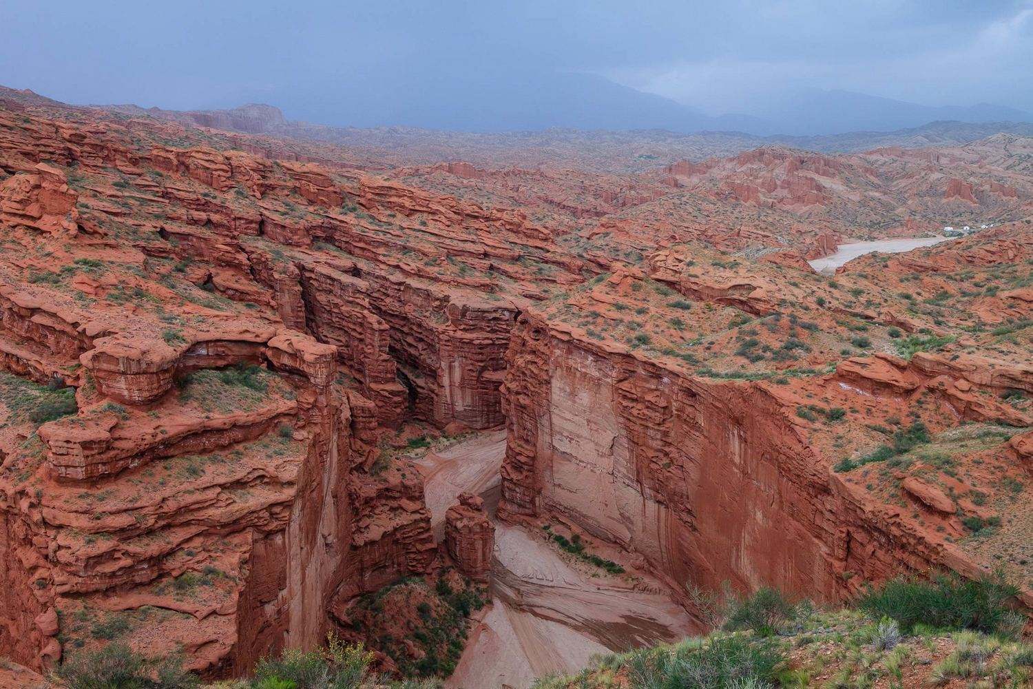 库车低调看直播官网高清_极速体育nba直播站外_jrs直播吧手机版路线推荐_攻略