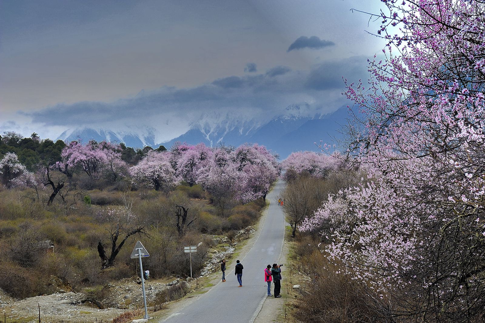 林芝低调看直播官网高清_极速体育nba直播站外_jrs直播吧手机版路线推荐_攻略