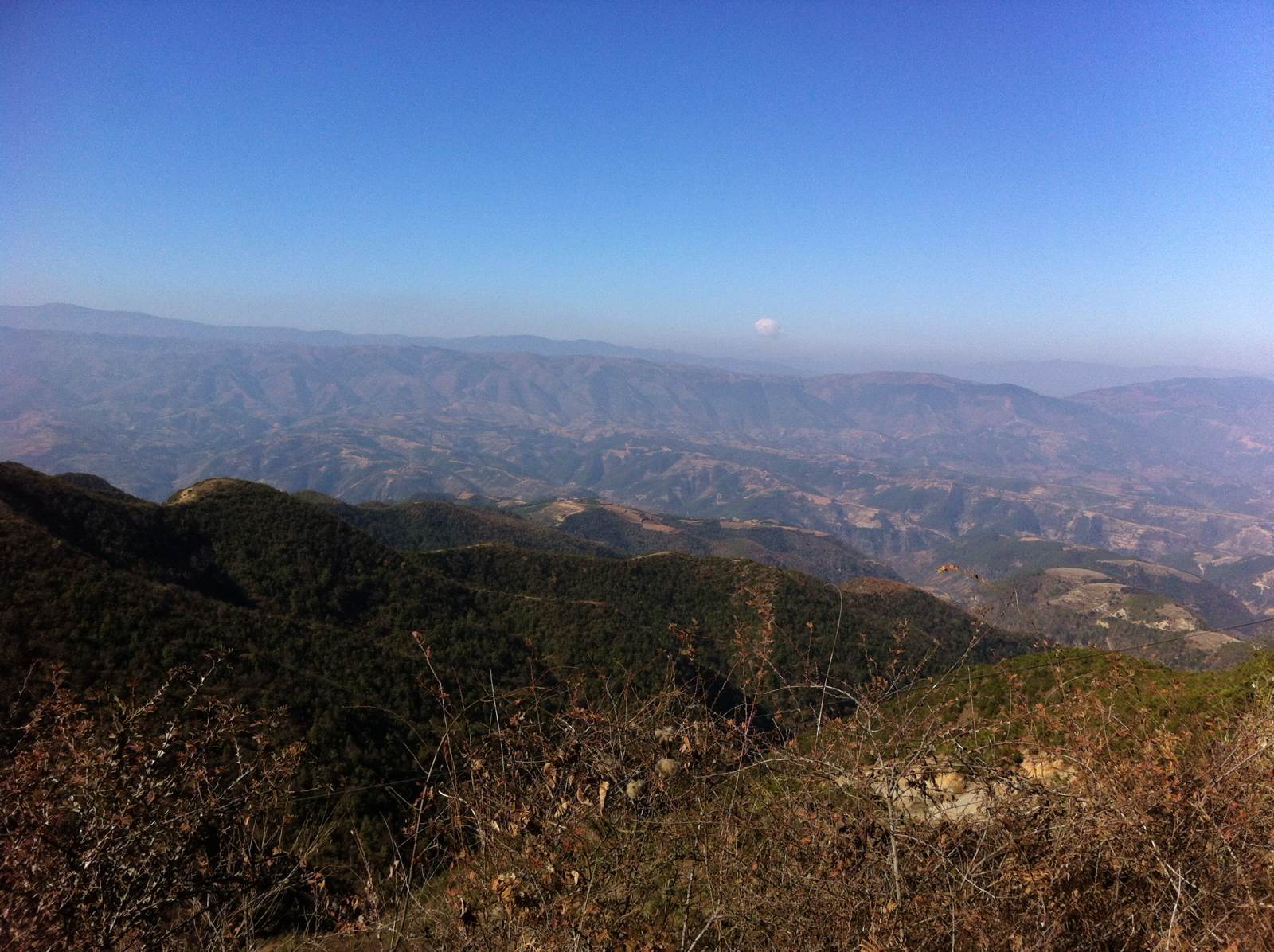 凉山低调看直播官网高清_极速体育nba直播站外_jrs直播吧手机版路线推荐_攻略