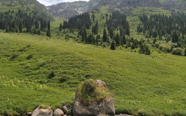 巩乃斯林场低调看直播官网高清_极速体育nba直播站外_jrs直播吧手机版景点