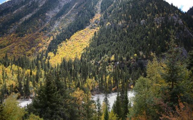 帕隆藏布江低调看直播官网高清_极速体育nba直播站外_jrs直播吧手机版景点