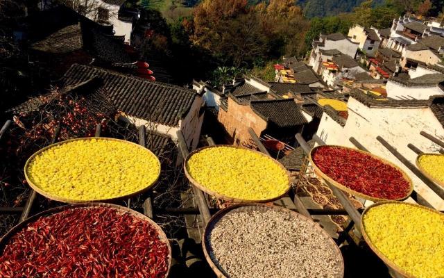 篁岭晒秋低调看直播官网高清_极速体育nba直播站外_jrs直播吧手机版景点