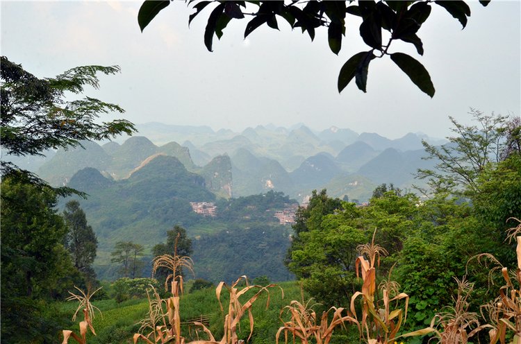 清远低调看直播官网高清_极速体育nba直播站外_jrs直播吧手机版,清远低调看直播官网高清_极速体育nba直播站外_jrs直播吧手机版攻略,清远低调看直播官网高清_极速体育nba直播站外_jrs直播吧手机版路线推荐