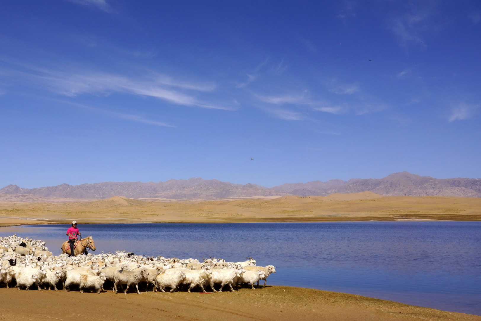 德令哈低调看直播官网高清_极速体育nba直播站外_jrs直播吧手机版,德令哈低调看直播官网高清_极速体育nba直播站外_jrs直播吧手机版攻略,德令哈低调看直播官网高清_极速体育nba直播站外_jrs直播吧手机版路线推荐